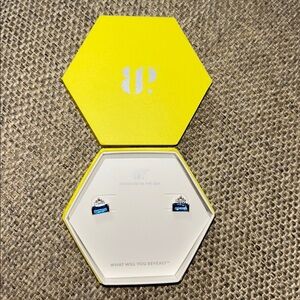 Elegant Blue and Silver Earrings